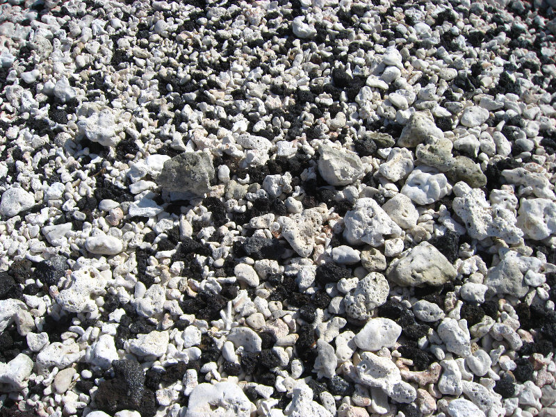 Holoholokai-Beach-Park-Kamuela-Kohala-Coast-Big-Island-Hawaii-014