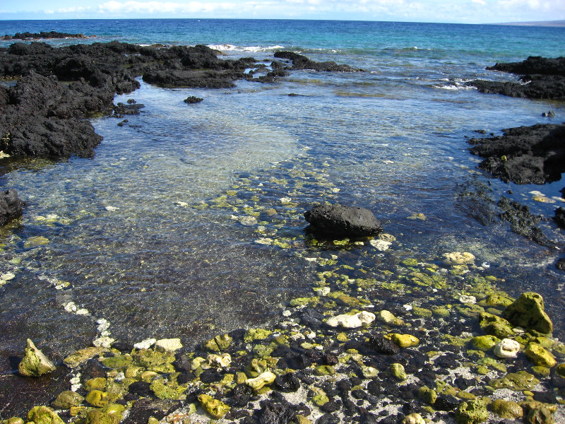 Holoholokai-Beach-Park-Kamuela-Kohala-Coast-Big-Island-Hawaii-016