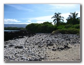 Holoholokai-Beach-Park-Kamuela-Kohala-Coast-Big-Island-Hawaii-013