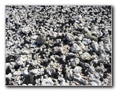 Holoholokai-Beach-Park-Kamuela-Kohala-Coast-Big-Island-Hawaii-014