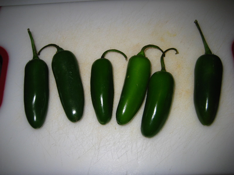 Homemade-Fresh-Hot-Salsa-Recipe-Guide-001