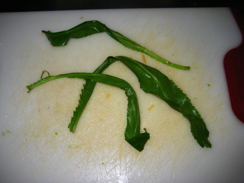 Homemade-Fresh-Hot-Salsa-Recipe-Guide-007