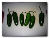 Homemade-Fresh-Hot-Salsa-Recipe-Guide-001