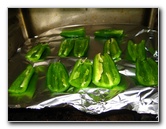 Homemade-Fresh-Hot-Salsa-Recipe-Guide-004