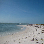 Honeymoon Island State Park - Dunedin, FL