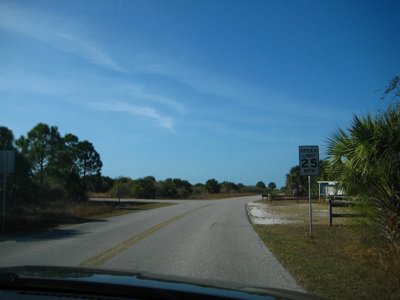 Honeymoon-Island-State-Park-Dunedin-FL-003