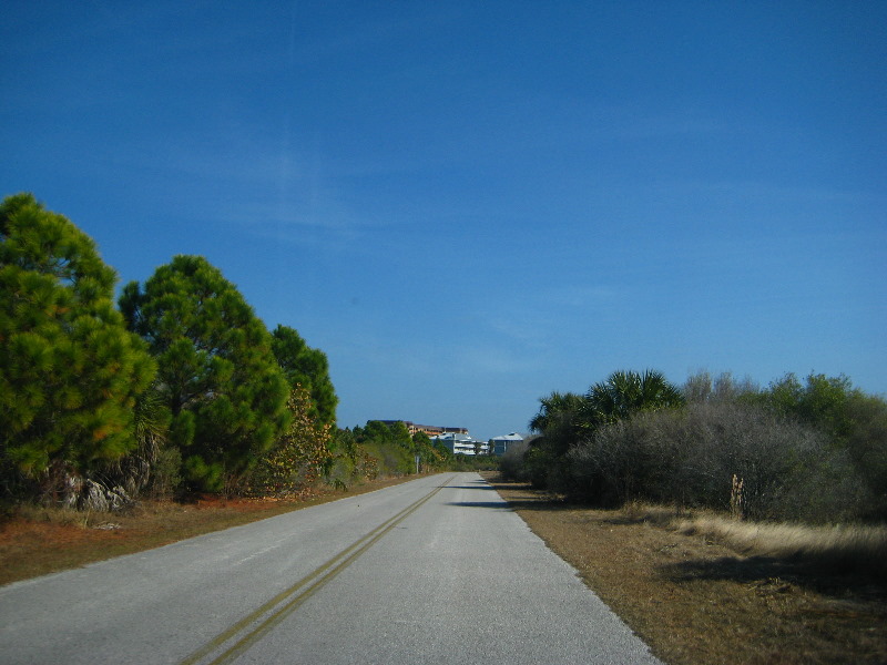 Honeymoon-Island-State-Park-Dunedin-FL-005