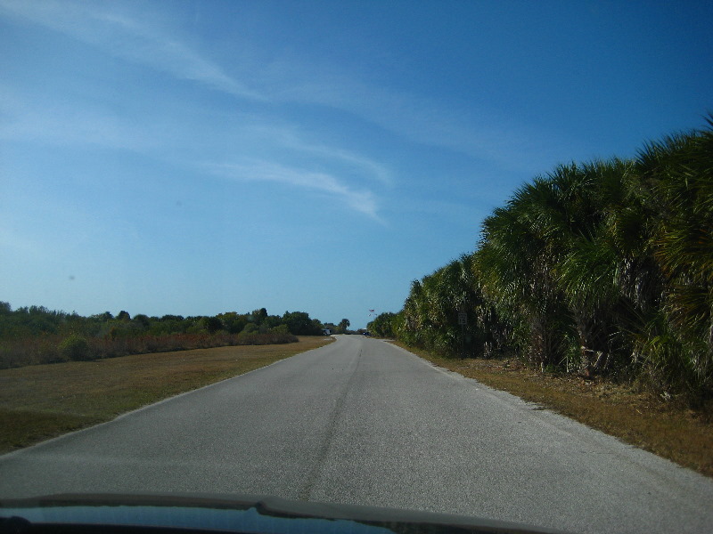 Honeymoon-Island-State-Park-Dunedin-FL-006