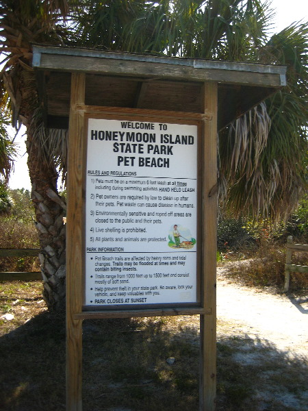 Honeymoon-Island-State-Park-Dunedin-FL-007