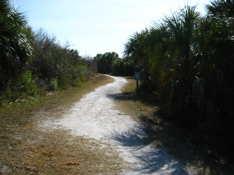 Honeymoon-Island-State-Park-Dunedin-FL-008