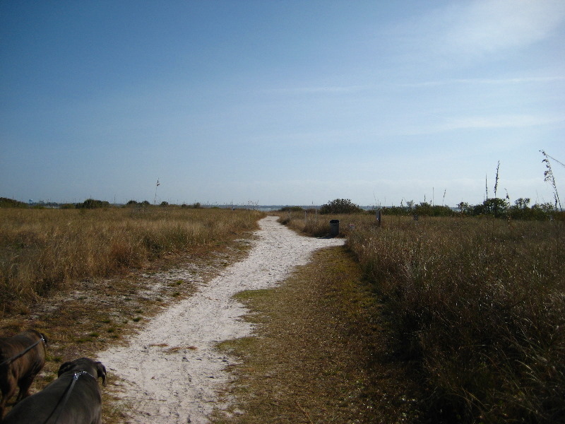 Honeymoon-Island-State-Park-Dunedin-FL-009