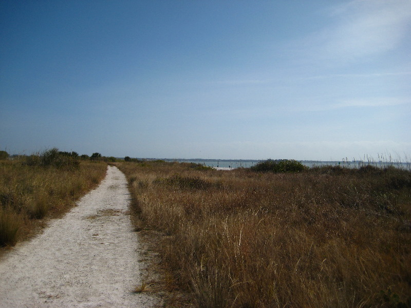 Honeymoon-Island-State-Park-Dunedin-FL-010