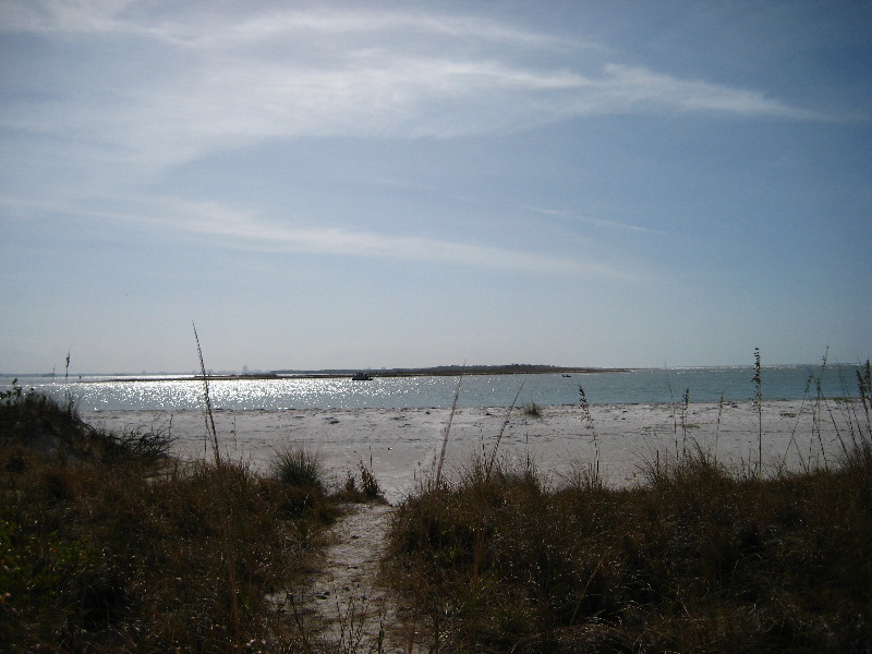 Honeymoon-Island-State-Park-Dunedin-FL-011