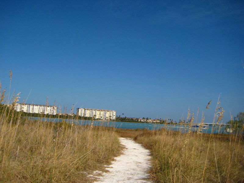 Honeymoon-Island-State-Park-Dunedin-FL-012