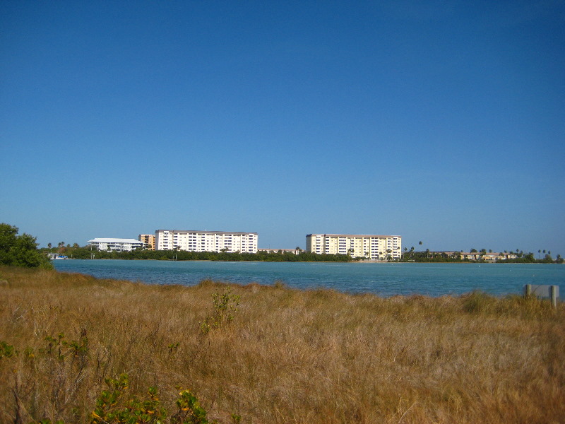 Honeymoon-Island-State-Park-Dunedin-FL-013