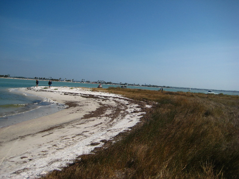 Honeymoon-Island-State-Park-Dunedin-FL-014