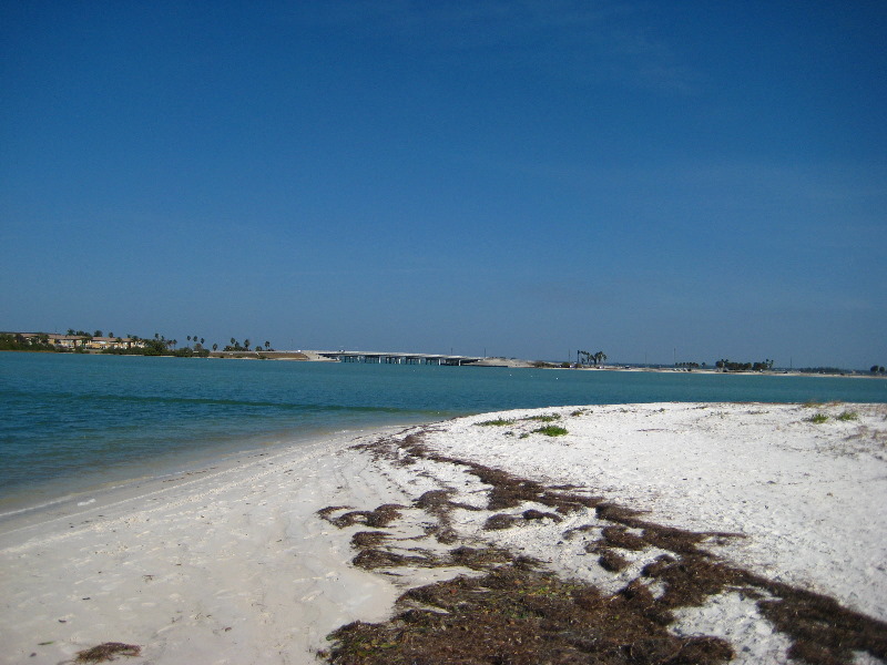 Honeymoon-Island-State-Park-Dunedin-FL-015