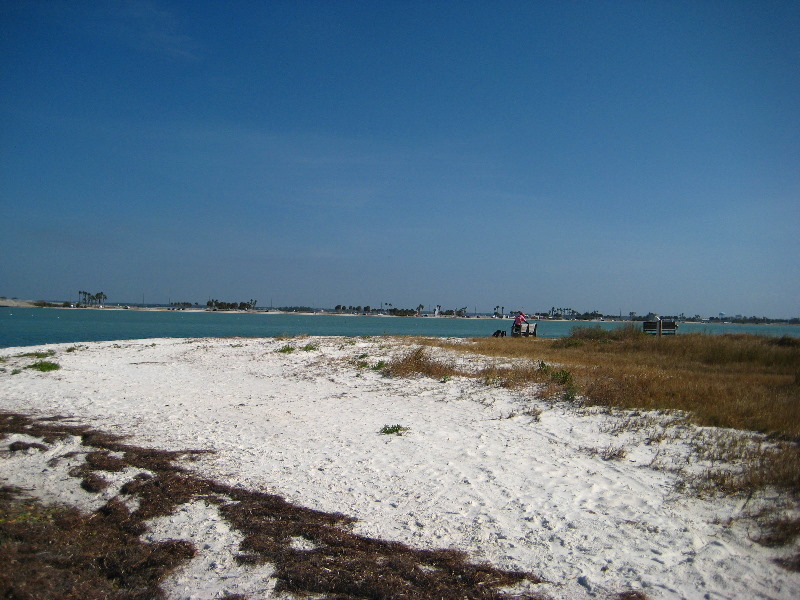 Honeymoon-Island-State-Park-Dunedin-FL-016