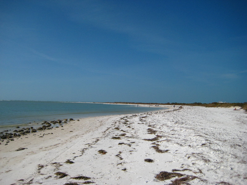 Honeymoon-Island-State-Park-Dunedin-FL-020