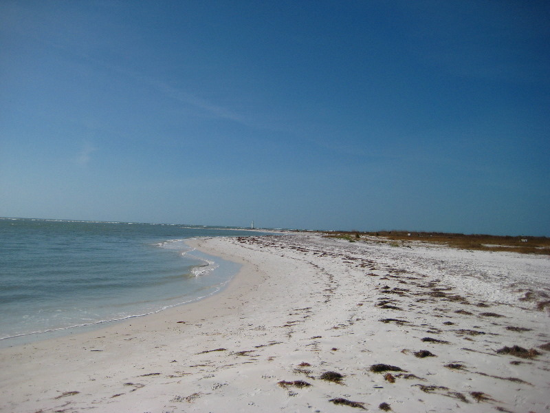 Honeymoon-Island-State-Park-Dunedin-FL-021