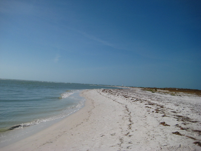 Honeymoon-Island-State-Park-Dunedin-FL-022