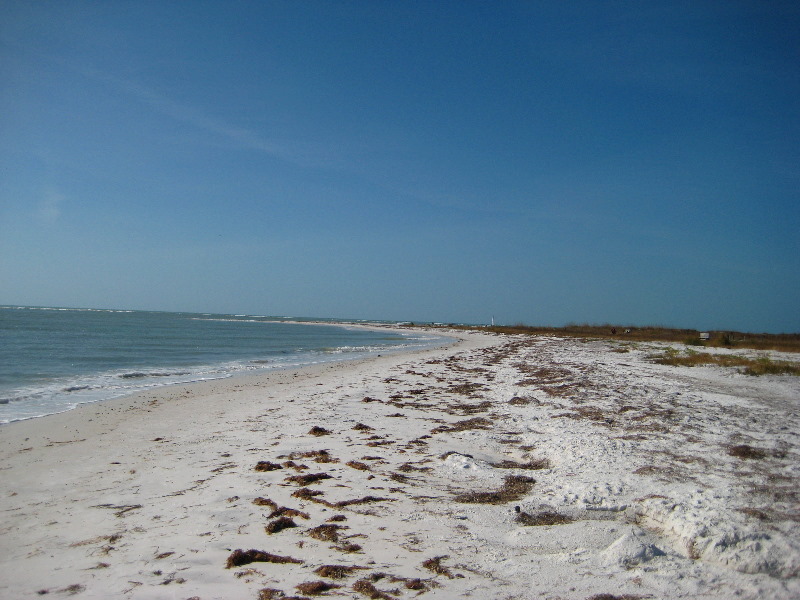 Honeymoon-Island-State-Park-Dunedin-FL-023