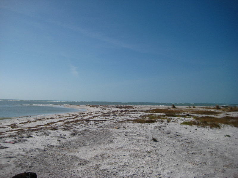 Honeymoon-Island-State-Park-Dunedin-FL-024