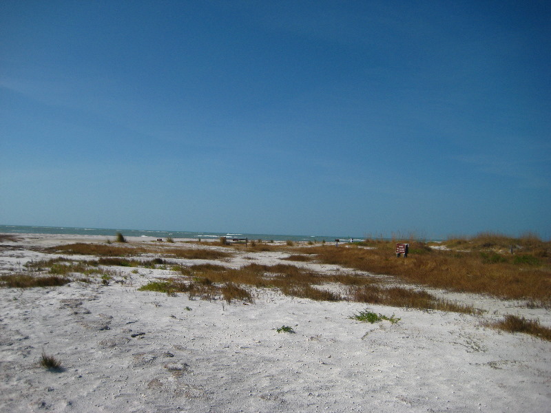 Honeymoon-Island-State-Park-Dunedin-FL-025