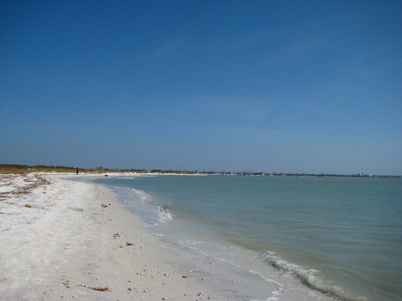 Honeymoon-Island-State-Park-Dunedin-FL-026