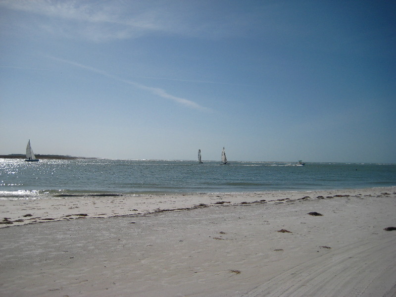 Honeymoon-Island-State-Park-Dunedin-FL-027