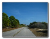 Honeymoon-Island-State-Park-Dunedin-FL-005