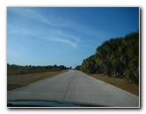 Honeymoon-Island-State-Park-Dunedin-FL-006