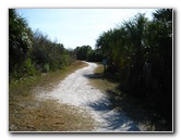 Honeymoon-Island-State-Park-Dunedin-FL-008