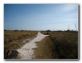 Honeymoon-Island-State-Park-Dunedin-FL-009