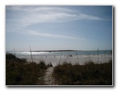 Honeymoon-Island-State-Park-Dunedin-FL-011