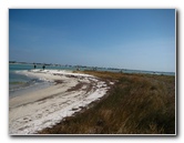 Honeymoon-Island-State-Park-Dunedin-FL-014