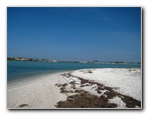 Honeymoon-Island-State-Park-Dunedin-FL-015