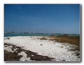 Honeymoon-Island-State-Park-Dunedin-FL-016