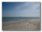 Honeymoon-Island-State-Park-Dunedin-FL-019