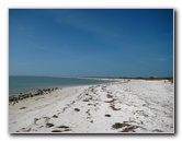 Honeymoon-Island-State-Park-Dunedin-FL-020