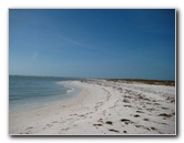 Honeymoon-Island-State-Park-Dunedin-FL-021