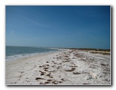 Honeymoon-Island-State-Park-Dunedin-FL-023