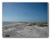 Honeymoon-Island-State-Park-Dunedin-FL-024