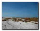 Honeymoon-Island-State-Park-Dunedin-FL-025