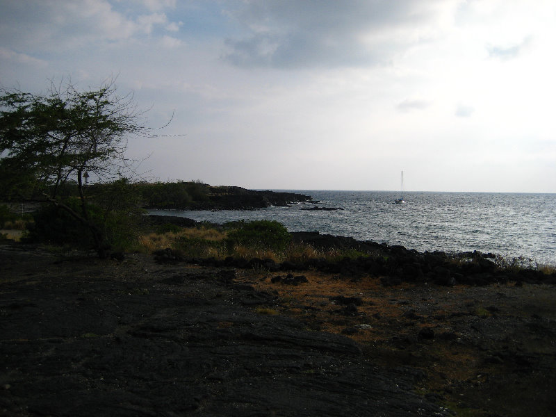Honokohau-Marina-Small-Boat-Harbor-Kailua-Kona-Big-Island-Hawaii-004