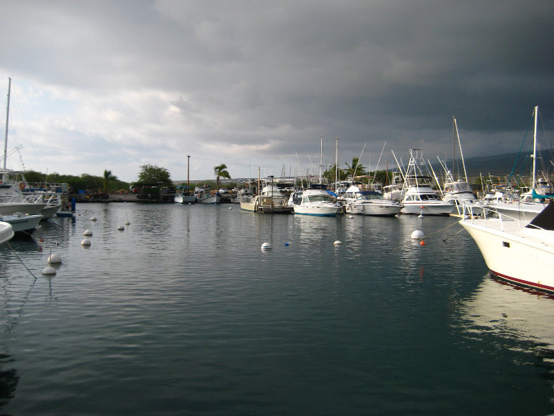 Honokohau-Marina-Small-Boat-Harbor-Kailua-Kona-Big-Island-Hawaii-008