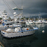 Honokohau Marina - Big Island, Hawaii