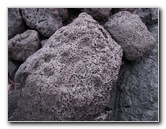 Honokohau-Marina-Small-Boat-Harbor-Kailua-Kona-Big-Island-Hawaii-028