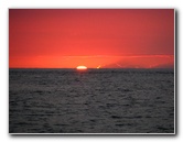 Honokohau-Marina-Small-Boat-Harbor-Kailua-Kona-Big-Island-Hawaii-033