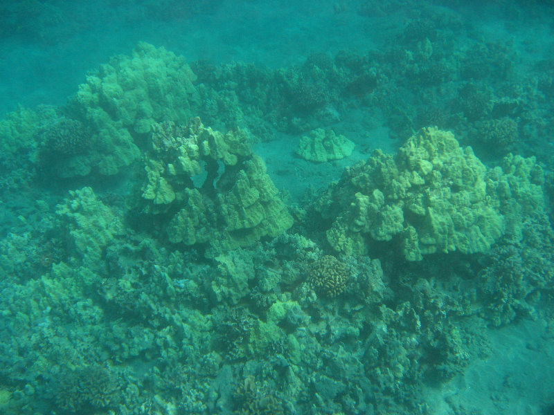 Hookena-Beach-Park-Snorkeling-Big-Island-Hawaii-023